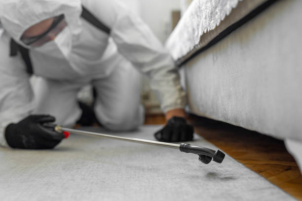 Professional Pest Control technician working in Calimesa, CA
