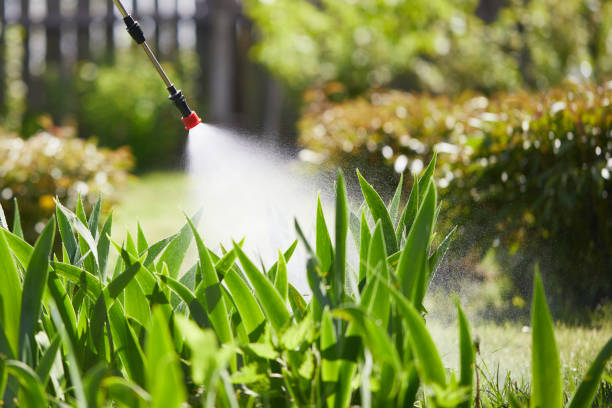 24/7 Emergency Pest Control experts in Calimesa, CA
